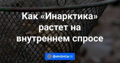 Как «Инарктика» растет на внутреннем спросе - smartmoney.one - Россия - Мурманская обл.