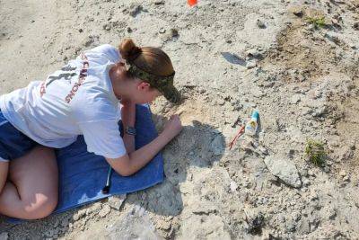 В США девочка нашла череп кита, которому 34 миллиона лет - planetanovosti.com - США - штат Алабама