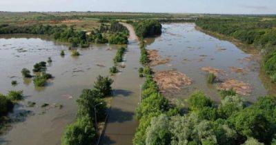 Подрыв Каховской ГЭС: Украина потеряла до 40% запасов пресной воды, — Укргидроэнерго (видео) - focus.ua - Россия - Украина - Экология