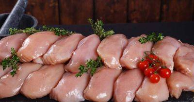 Украина увеличивает продажи мяса за рубеж: где уже продают украинскую курятину - focus.ua - США - Украина
