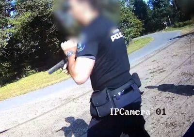 В Чехии полицейский выстрелил в агрессивного мужчину: видео - vinegret.cz - Чехия - Южноморавский край