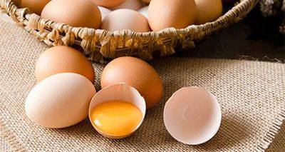 Для многих будет открытием: можно ли есть яйца с красными точками, как они влияют на человека - cxid.info