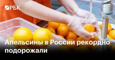 Апельсины в России рекордно подорожали - smartmoney.one - Россия - Египет - Турция - Юар