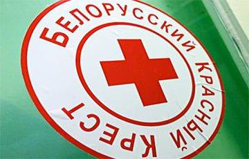 Дмитрий Шевцов - Международный Красный Крест потребовал от скандального генсека в Беларуси отойти от дел - charter97.org - Белоруссия - Минск