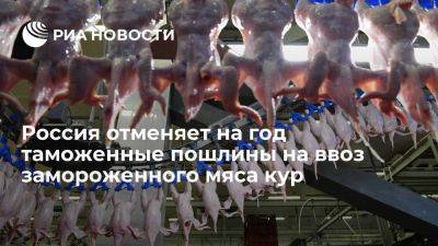 Россия отменяет на год пошлины на ввоз до 140 тысяч тонн замороженного мяса кур - smartmoney.one - Россия