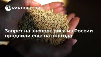Дмитрий Патрушев - Запрет на экспорт риса из России продлили до 30 июня 2024 года - smartmoney.one - Россия - Апсны - респ. Южная Осетия - Запрет