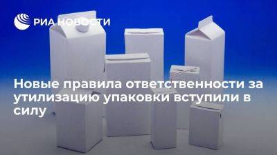 В России вступили в силу новые правила ответственности за утилизацию упаковки - smartmoney.one - Россия