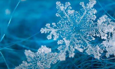 Тайны зимней красоты: ученые рассказали, почему каждая снежинка уникальна - hyser.com.ua - Украина