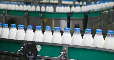 Уровень самообеспечения Беларуси молочными продуктами достиг 267 % - produkt.by - Белоруссия - Эмираты - Вьетнам