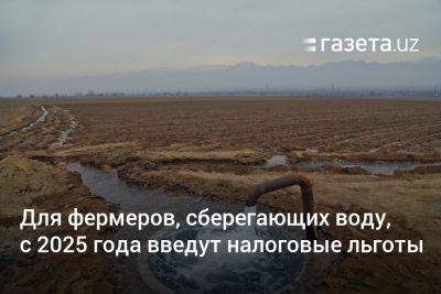 Для фермеров Узбекистана, сберегающих воду, с 2025 года введут налоговые льготы - gazeta.uz - Узбекистан