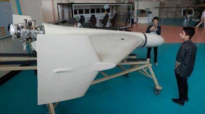 Иран - Иран разработал для россии новую модель дрона Shahed – СМИ - ru.slovoidilo.ua - Украина - Иран - Никополь