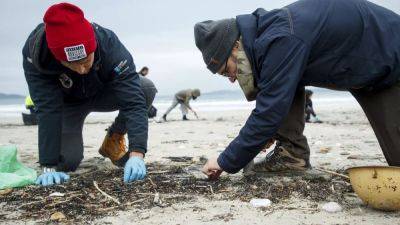 Загрязнение пляжей пластиком: испанские экологи обвиняют власти в бездействии - ru.euronews.com - Испания - Экология