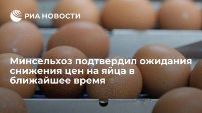Дмитрий Патрушев - Минсельхоз подтвердил ожидания снижения цен на куриное яйцо в ближайшее время - smartmoney.one - Россия - Белоруссия - Турция - Азербайджан - Новороссийск