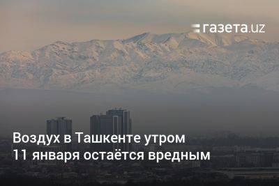 Воздух в Ташкенте утром 11 января остаётся вредным - gazeta.uz - Узбекистан - Ташкент