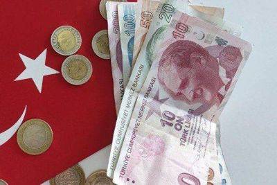 Турецкая лира обновила исторический минимум: курс доллара впервые достиг 30 лир - smartmoney.one - Москва