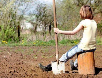 Метод "одной ложки": что нужно сделать, чтобы земля на огороде стала воздушной и плодородной - koronavirus.center - Украина