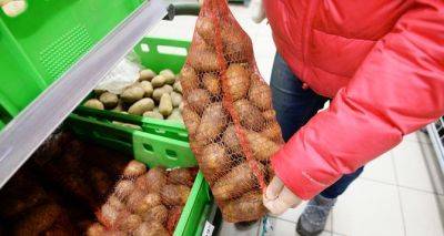 Андрей Ярмак - Своего нет — Украина импортирует картофель из Польши, а также из Литвы и Латвии: эксперты сообщили причину - cxid.info - Украина - Польша - Литва - Латвия - Аграрии