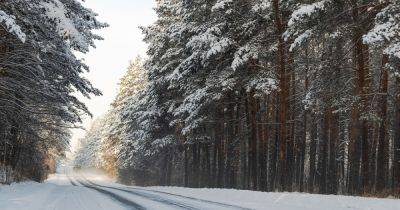 Игорь Кибальчич - Мороз - В январе в Украине будет еще две волны морозов: синоптик рассказал, когда ждать похолодания - dsnews.ua - Украина