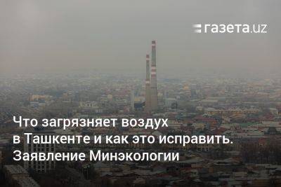 Что загрязняет воздух в Ташкенте и как это исправить. Заявление Минэкологии - gazeta.uz - Узбекистан - Ташкент - Экология