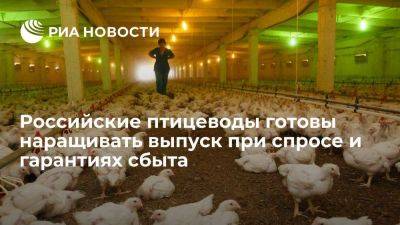 Росптицесоюз: птицеводы готовы наращивать выпуск при спросе и гарантиях сбыта - smartmoney.one - Россия