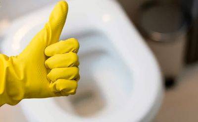 Будет чисто, как в операционной: как вымыть унитаз при помощи хлорки - ukrainianwall.com - Украина