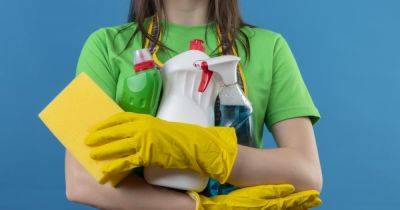 Забудьте эти правила: 11 мифов об уборке, которые могут принести больше вреда, чем пользы - focus.ua - Украина