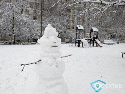 Морозы немного спадут, будет снежить: погода в Харькове и области на 14 января - objectiv.tv - Харьков
