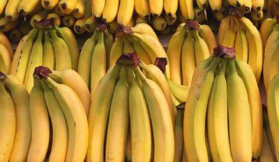 Это весьма резонно: названы причины, почему нельзя потреблять бананы каждый день. И врачи об этом предупреждают редко - ukrainianwall.com - Украина