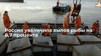 ВАРПЭ: Россия в 2023 году увеличила вылов рыбы на 8,7%, до 5,3 млн тонн - smartmoney.one - Россия