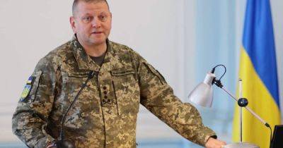 Валерий Залужный - Залужный подтвердил уничтожение двух важных для россиян самолетов - dsnews.ua - Россия - Украина