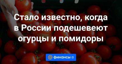 Стало известно, когда в России подешевеют огурцы и помидоры - smartmoney.one - Россия