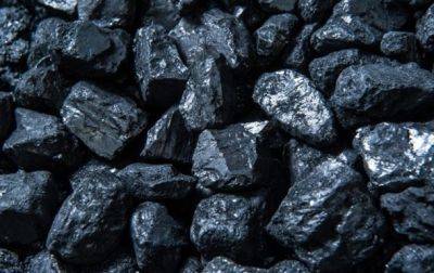 Ильдар Салеев - ДТЭК дополнительно законтрактовала 80 тысяч тонн угля - korrespondent.net - Украина - Польша