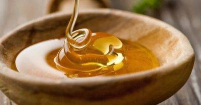 Когда лучше есть мед? Какие мифы о меде не соответствуют действительности - dsnews.ua - Украина - Испания