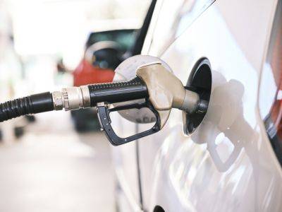 Попытка сдержать рост цен на бензин провалилась. В прошлом году топливо подорожало на 19% - podrobno.uz - Узбекистан - Ташкент