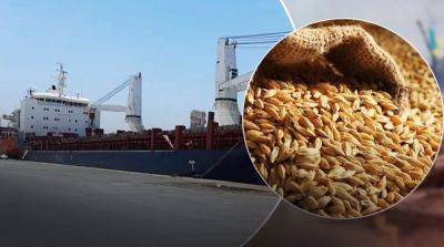 Стало известно, сколько украинского зерна вывезли россияне из ВОТ за год - ru.slovoidilo.ua - Россия - Украина - Румыния - Оккупанты