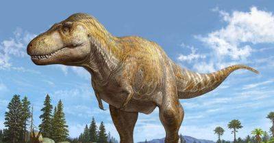 Ученые обнаружили новый вид тираннозавра: он старше Tyrannosaurus rex на 6 млн лет (фото) - focus.ua - Украина