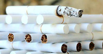 В ВОЗ подсчитали количество курильщиков в мире - dsnews.ua - Украина - Египет - Молдавия - Бразилия - Голландия - Конго - Иордания - Индонезия - Оман