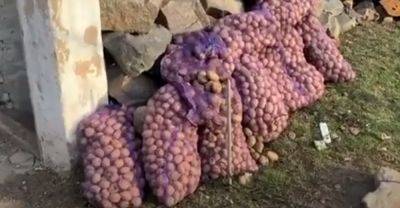 Идеально подходит для села и для перевозки картошки: как выглядит огородный пикап Honda на гусеницах - hyser.com.ua - США - Украина