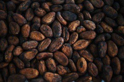 Биржевые цены на какао-бобы превысили 3760 фунтов стерлингов за тонну - smartmoney.one - Москва - США - Лондон - Нью-Йорк - Гана - Эквадор - Камерун - Нигерия - Индонезия - Кот Дивуар