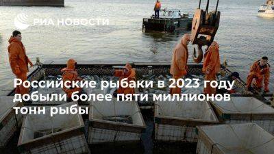 Владимир Путин - Илья Шестаков - Росрыболовство: российские рыбаки в 2023 году выловили более 5,3 млн тонн рыбы - smartmoney.one - Россия