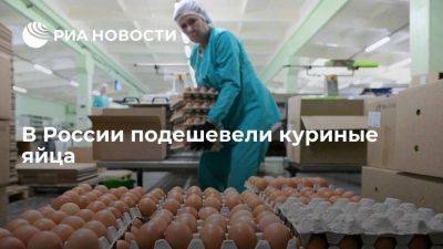 Росстат: яйца в РФ подешевели впервые с конца июня прошлого года - smartmoney.one - Россия - Эквадор