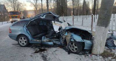 В Украине существенно выросло количество погибших на дорогах: основные причины ДТП - focus.ua - Украина