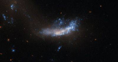 Телескоп Хаббл показал галактику со сверхновой: она ярче Солнца в 2,5 млрд раз (фото) - focus.ua - Украина