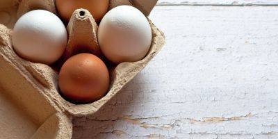 Как правильно хранить яйца, чтобы они оставались свежими долго: достаньте их из холодильника - nv.ua - США - Украина - Япония - Канада