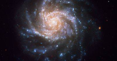 Джеймс Уэбб - Вселенная - Неожиданное открытие. Неизвестная сила влияла на эволюцию галактик в ранней Вселенной - focus.ua - Украина