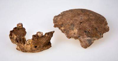 Ученые нашли череп неизвестного вида человека, жившего 140 тыс. лет назад. - apostrophe.ua - Китай - Украина - Тель-Авив - Иерусалим