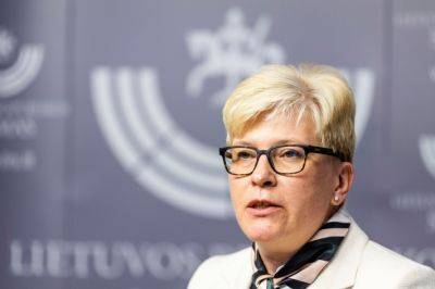 Ингрида Шимоните - Премьер Литвы: долгие дискуссии по налогам необходимы, но не всегда себя оправдывают (СМИ) - obzor.lt - Литва - Вильнюс - Премьер - Парламент