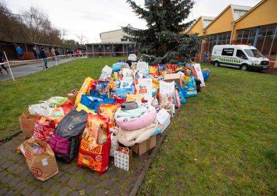 Пражане подарили бездомным собакам на Рождество три тонны корма - vinegret.cz - Чехия - Прага