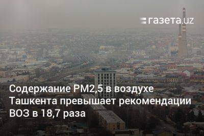 Содержание РМ2,5 в воздухе Ташкента превышает рекомендации ВОЗ в 18,7 раза - gazeta.uz - Узбекистан - Ташкент - район Юнусабадский