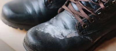 Эти методы проверены годами: как избавится от белых разводов на зимней обуви - hyser.com.ua - Украина